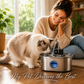 FurryFlow™ Purified Water Pet Drinking Fountain                ⭐⭐⭐⭐⭐(220)